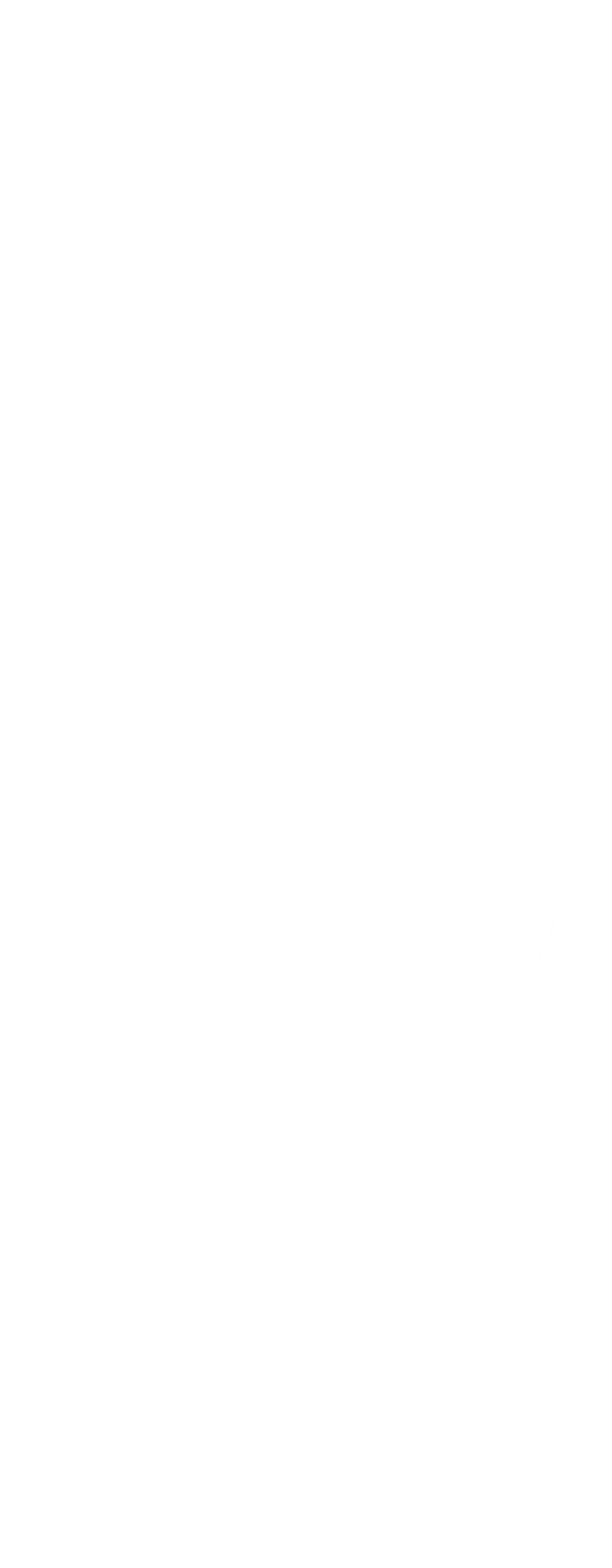 Wit pijlvormig grafisch element uit de huisstijl van TANS voor headers