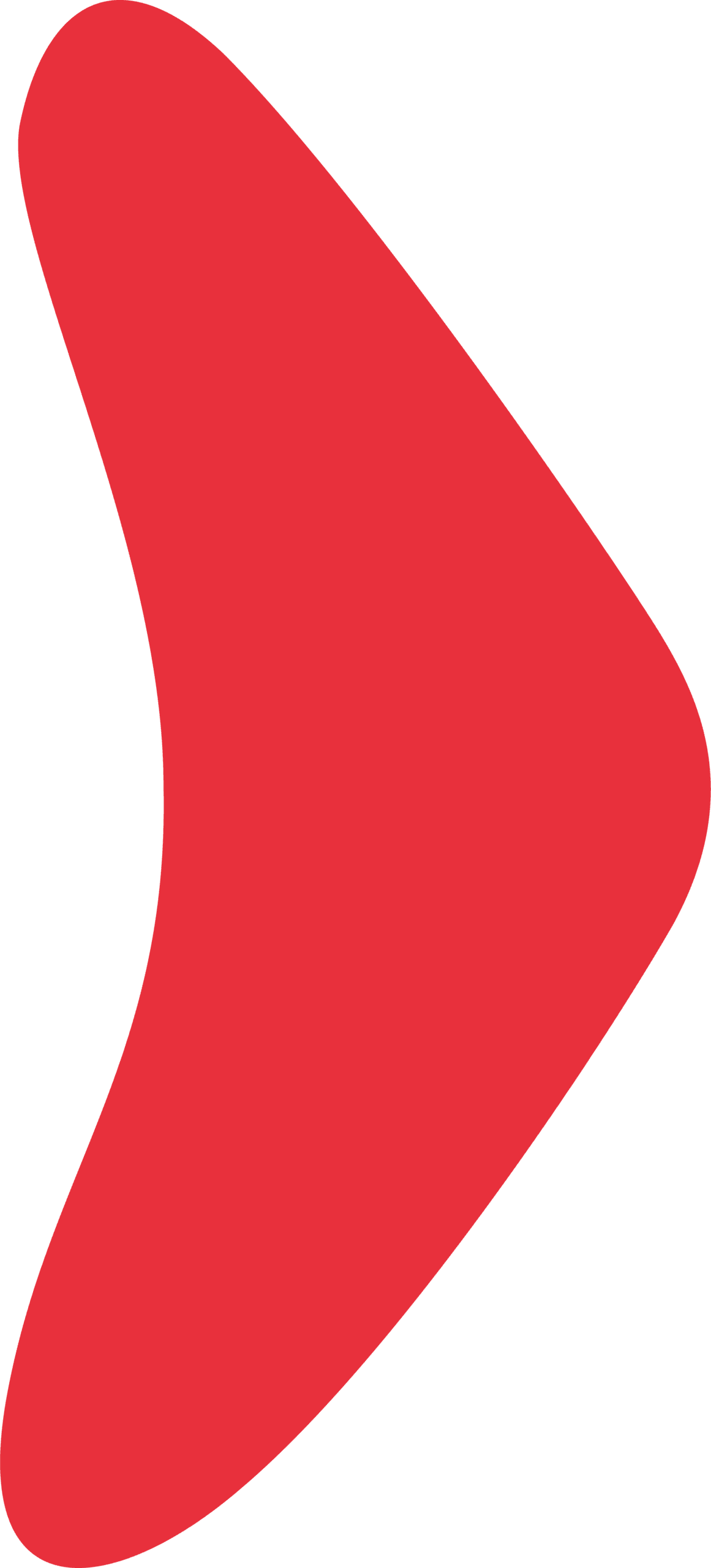 Rood pijlvormig beeldmerk uit de huisstijl van TANS