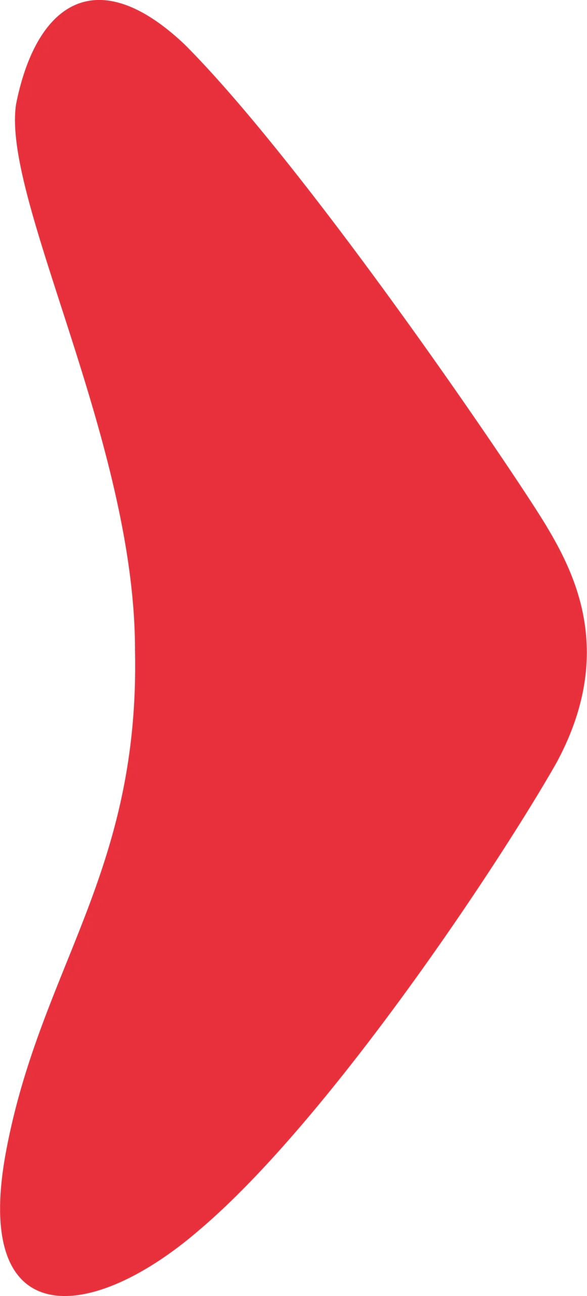 Rood pijlvormig beeldmerk uit de huisstijl van TANS